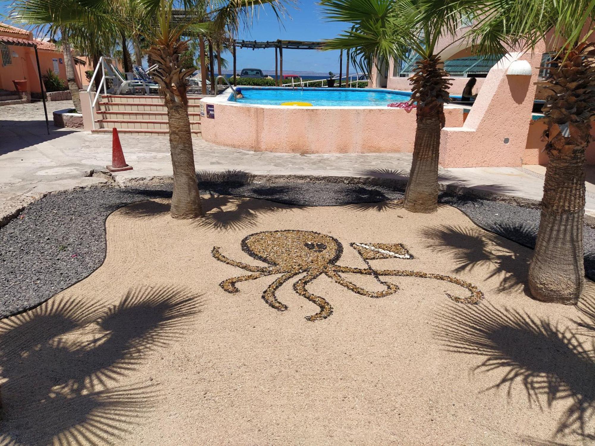 Club Cantamar Beach Hotel & Marina لاباز الغرفة الصورة
